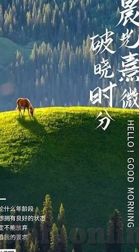 16足球比分-16足球比分,绿茵场上的数字交响曲