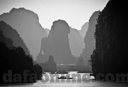 巴西室内足球比分-巴西室内足球比分,速度与激情的数字交响曲