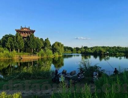比分网足球比分即时比分-实时掌握赛场风云,比分网足球比分即时比分,球迷的必备神器