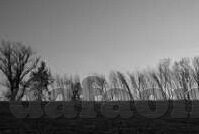 足彩足球比分直播-足彩迷的福音,足球比分直播——实时追踪,智慧投注的黄金钥匙