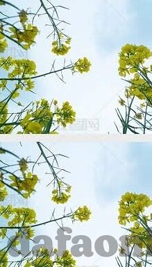 足球比分6-足球比分6,赛场风云的数字密码与激情交响