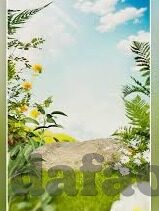 足球比分 捷报-足球比分捷报频传,绿茵场上的激情与荣耀