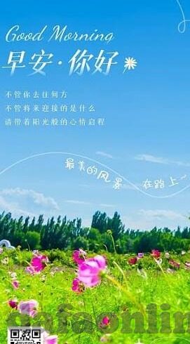 足球比分完场比分直播-足球比分完场比分直播,绿茵场上的实时心跳
