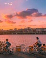 足球反比分系统-揭秘足球反比分系统,数据时代的另类预测艺术
